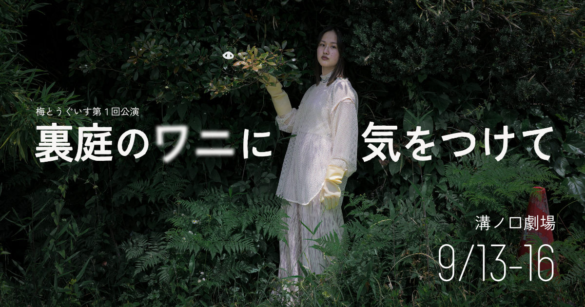舞台『裏庭のワニに気をつけて』公式サイト